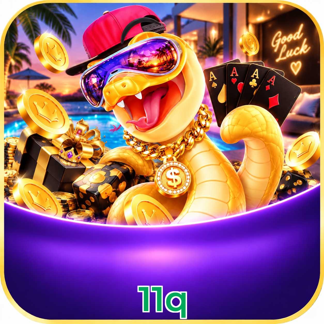 11q App FAQ
